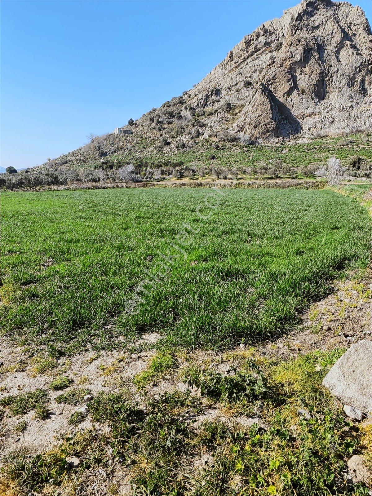 Bergama Süleymanlı'da Satılık 3.069 M2 Arazi/ Tarla - Görsel 9