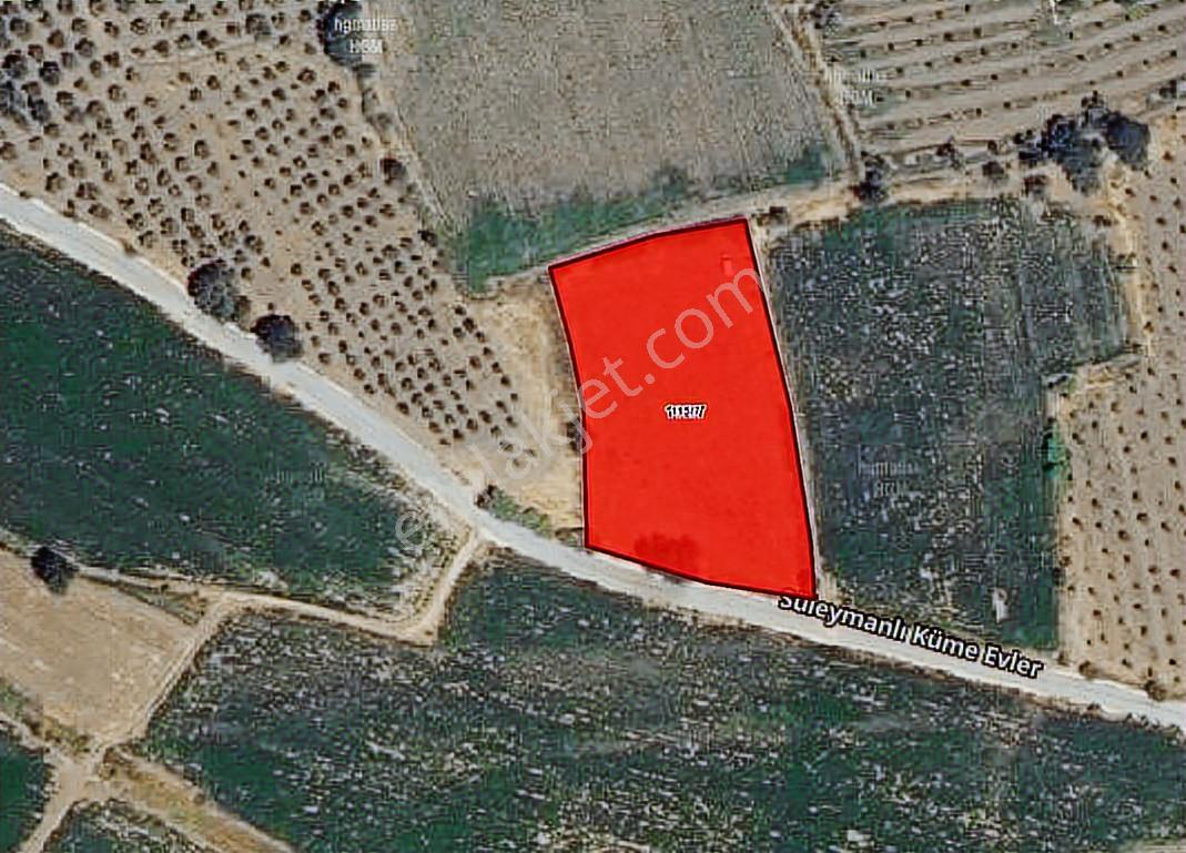 Bergama Süleymanlı'da Satılık 3.069 M2 Arazi/ Tarla - Görsel 6
