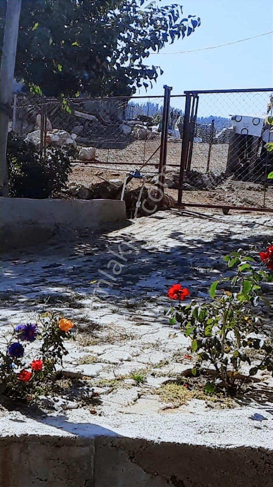 Anadolu Gayrimenkulden Göller Zencirlide Bir Dönüm Tek Tapu - Görsel 9