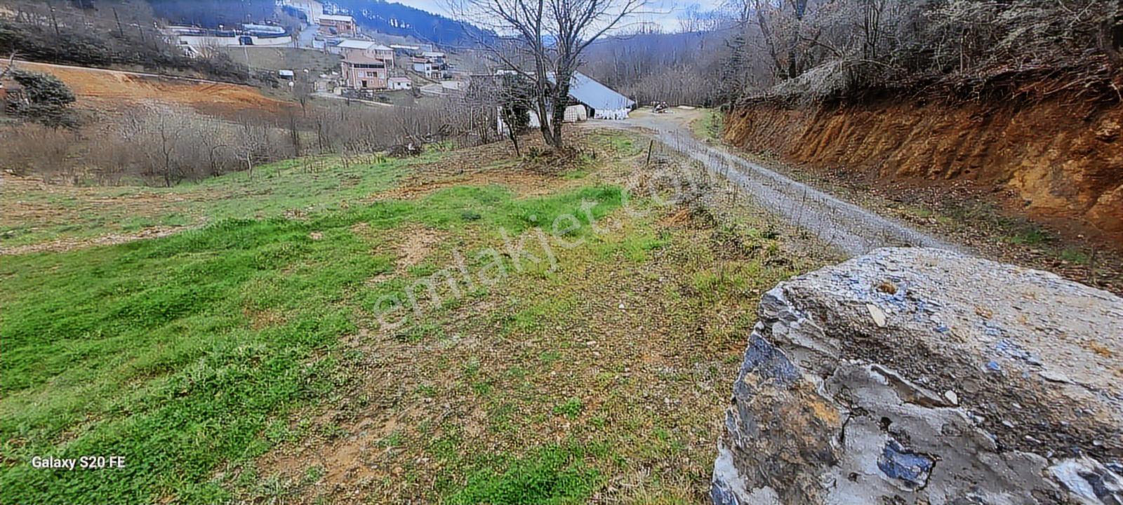 Beykoz Dereseki'de Doğa İle İç İçe İmarlı Satılık Arsa - Görsel 8
