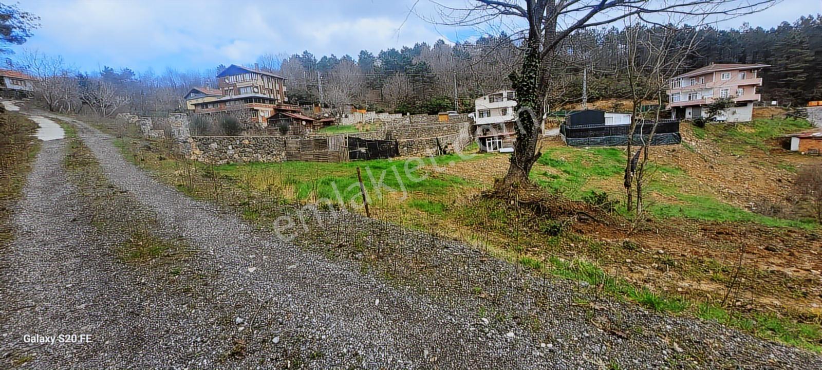 Beykoz Dereseki'de Doğa İle İç İçe İmarlı Satılık Arsa - Görsel 7