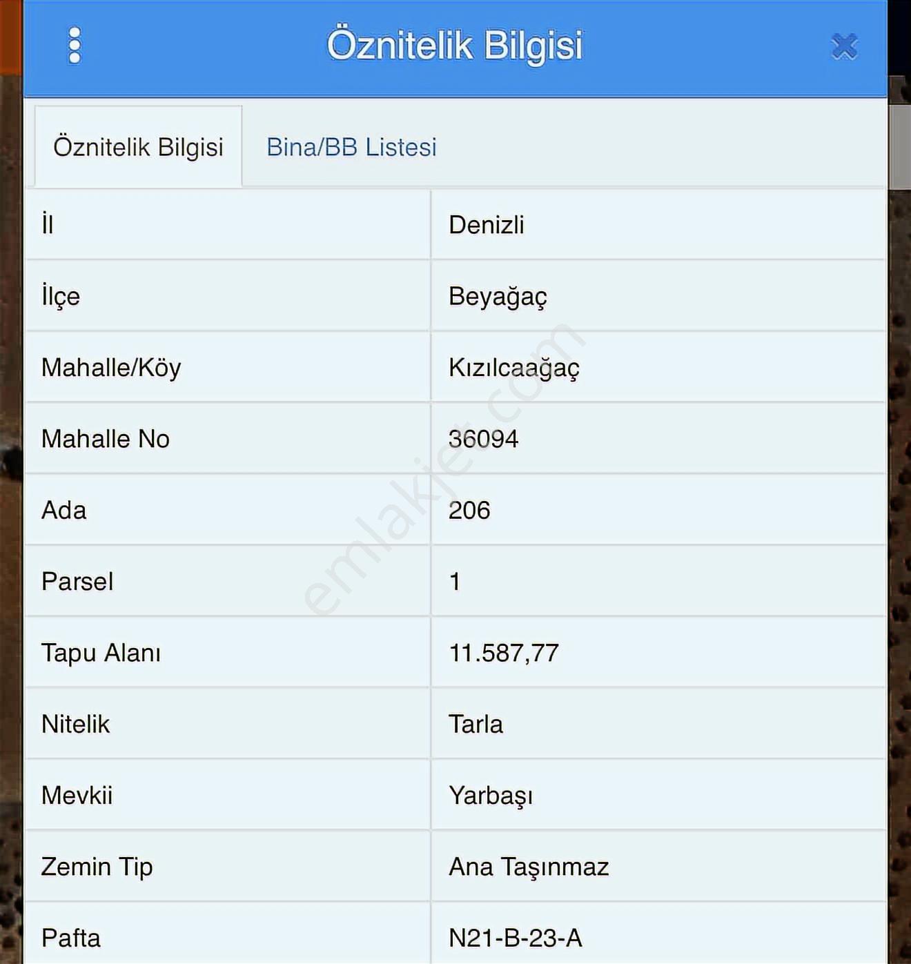 Beyağaç İlçesi Kızılcaağaç Mahallesi 11.5 Dönüm Zeytinlik - Görsel 2