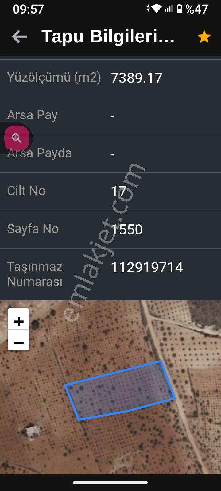 Ekili Fıstıklık