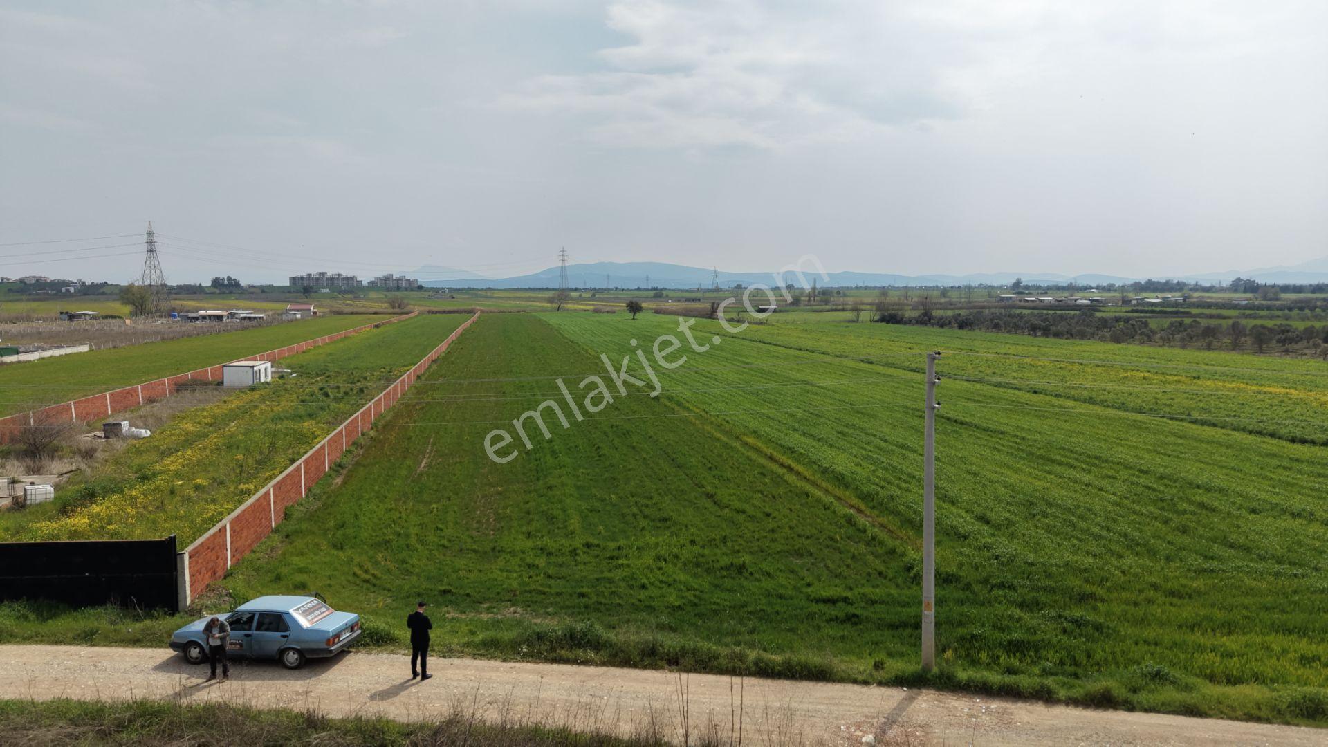 İzmir Oğlananası Satılık Tektapu 11.385 M2 Yol Cepheli Kelepir Fiyata Arazi - Görsel 5