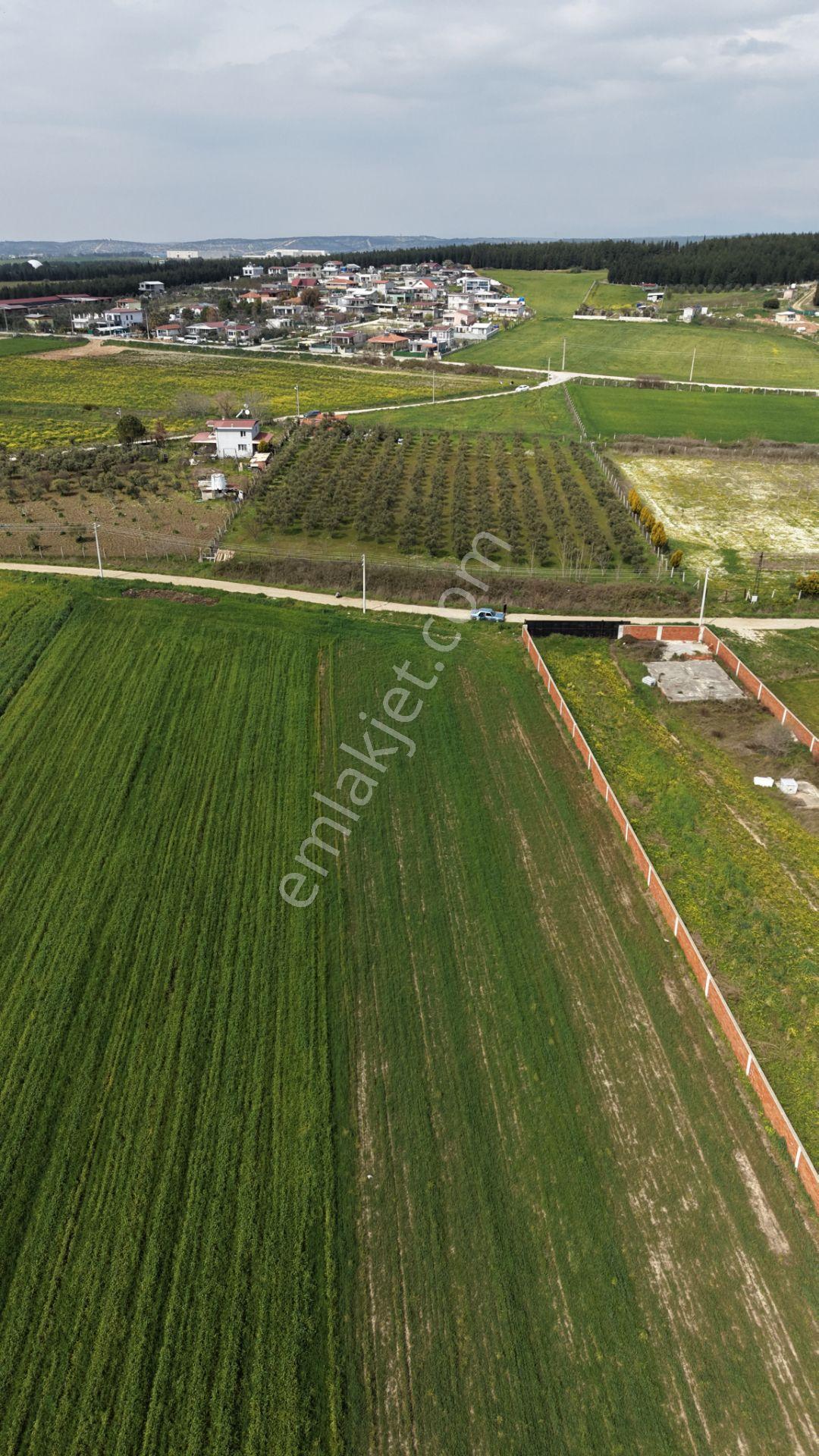 İzmir Oğlananası Satılık Tektapu 11.385 M2 Yol Cepheli Kelepir Fiyata Arazi - Görsel 19