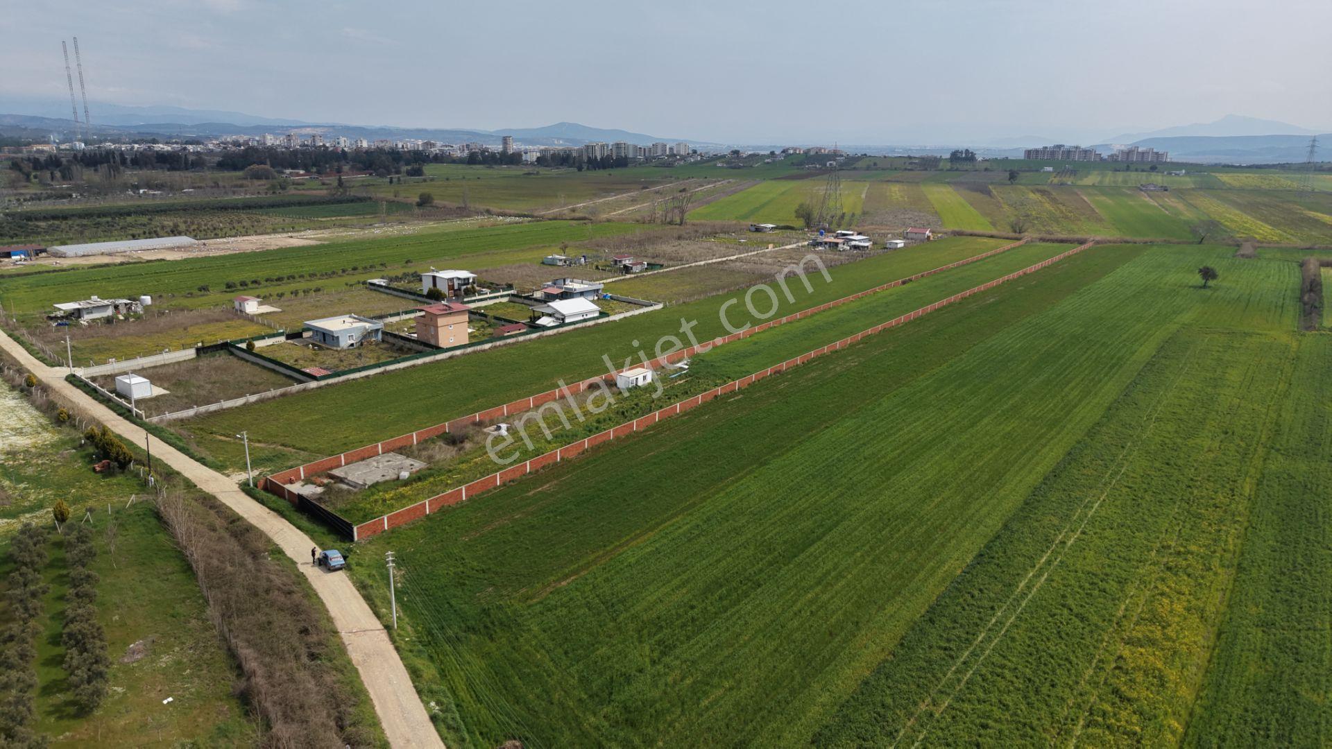 İzmir Oğlananası Satılık Tektapu 11.385 M2 Yol Cepheli Kelepir Fiyata Arazi - Görsel 4