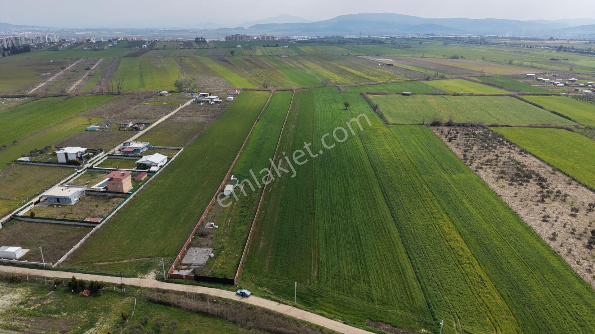 İzmir Oğlananası Satılık Tektapu 11.385 M2 Yol Cepheli Kelepir Fiyata Arazi - Görsel 8