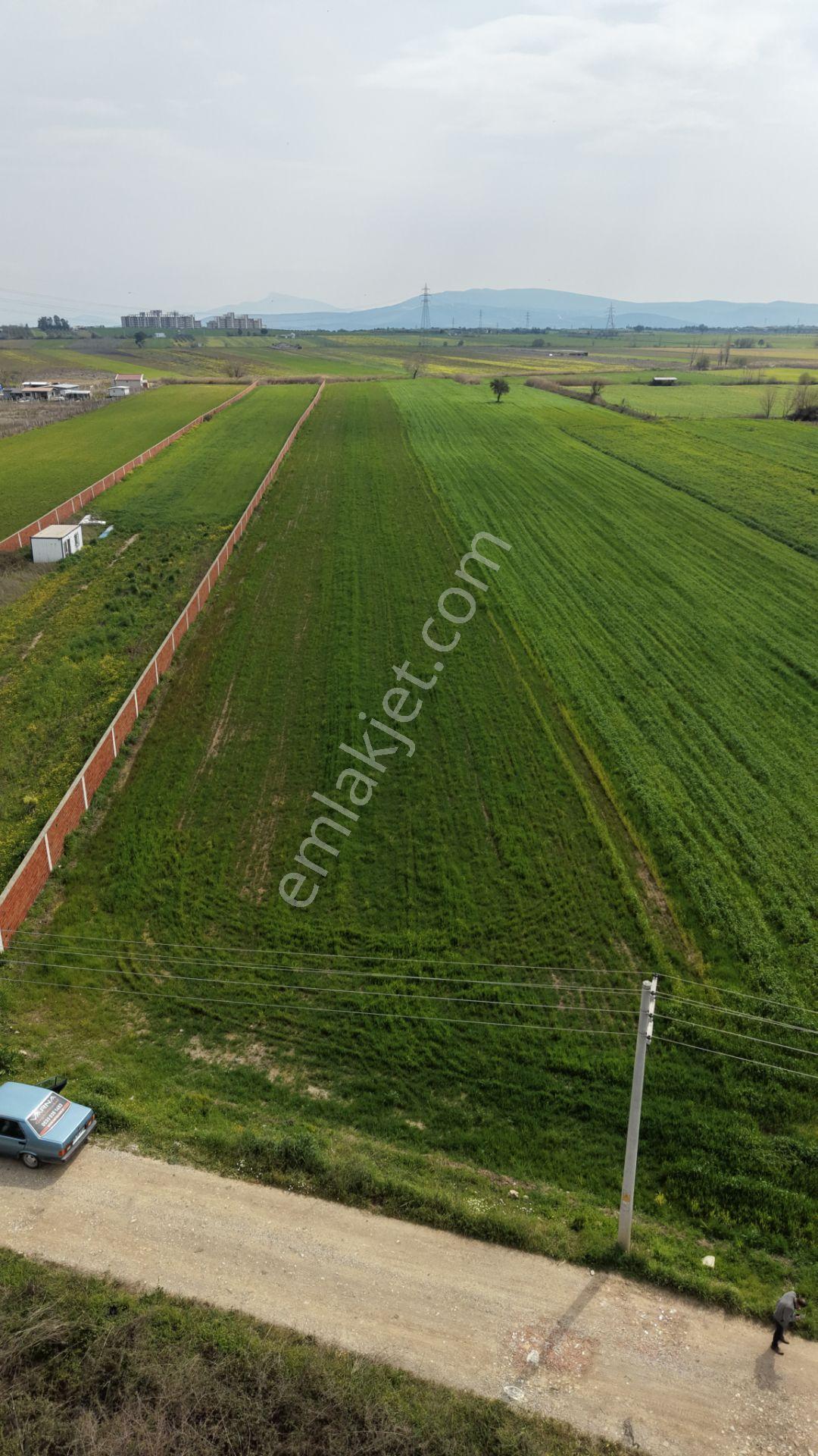 İzmir Oğlananası Satılık Tektapu 11.385 M2 Yol Cepheli Kelepir Fiyata Arazi - Görsel 11