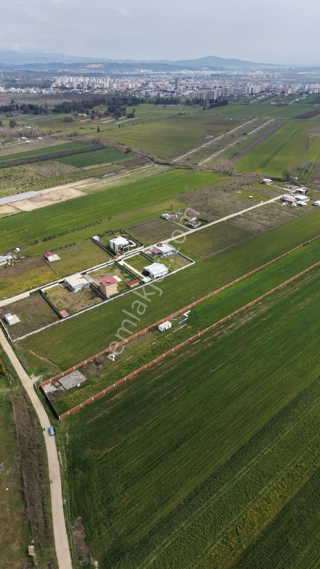 İzmir Oğlananası Satılık Tektapu 11.385 M2 Yol Cepheli Kelepir Fiyata Arazi - Görsel 15