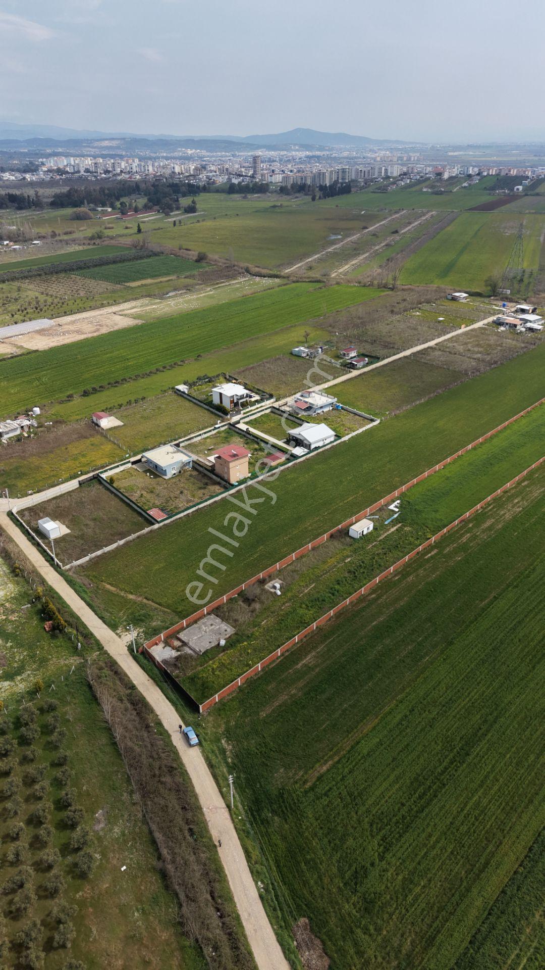 İzmir Oğlananası Satılık Tektapu 11.385 M2 Yol Cepheli Kelepir Fiyata Arazi - Görsel 13