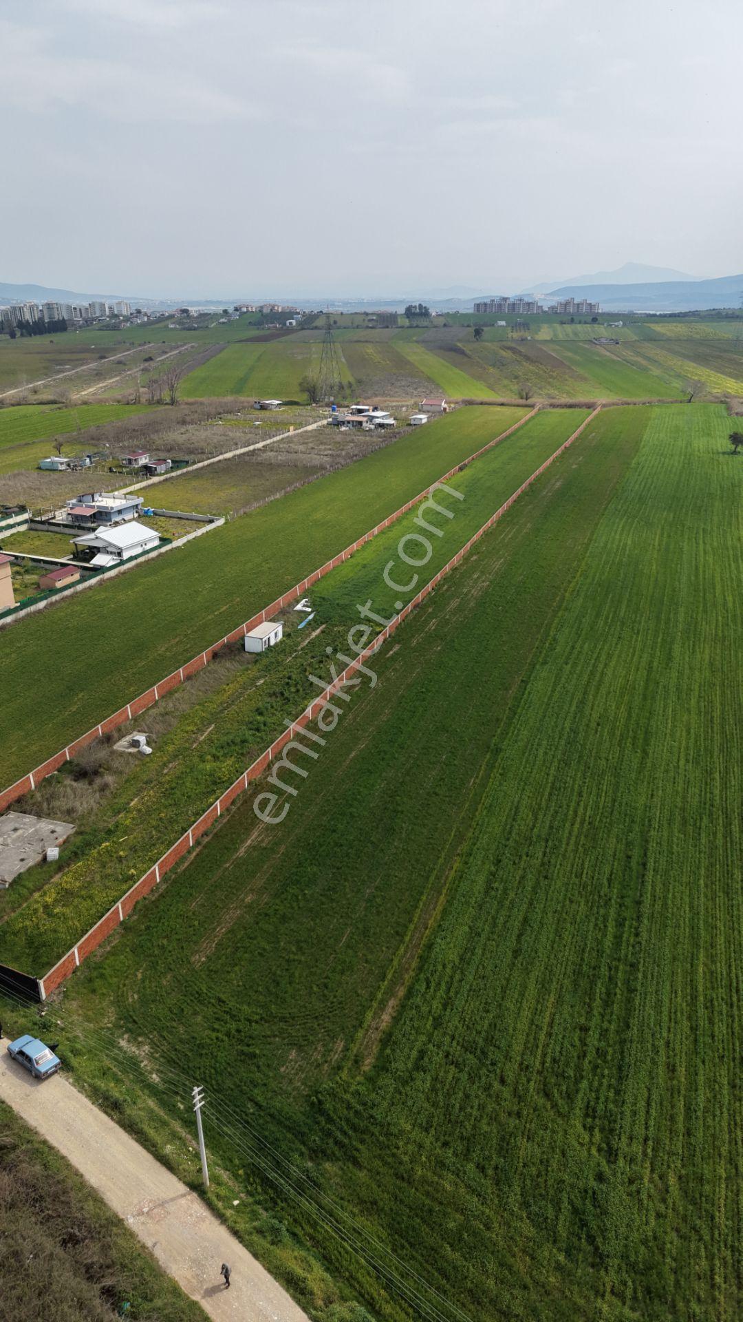 İzmir Oğlananası Satılık Tektapu 11.385 M2 Yol Cepheli Kelepir Fiyata Arazi - Görsel 12