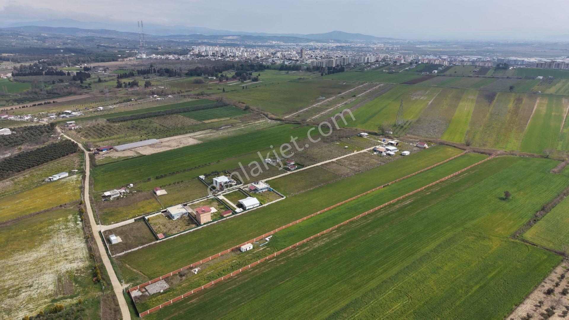 İzmir Oğlananası Satılık Tektapu 11.385 M2 Yol Cepheli Kelepir Fiyata Arazi - Görsel 7