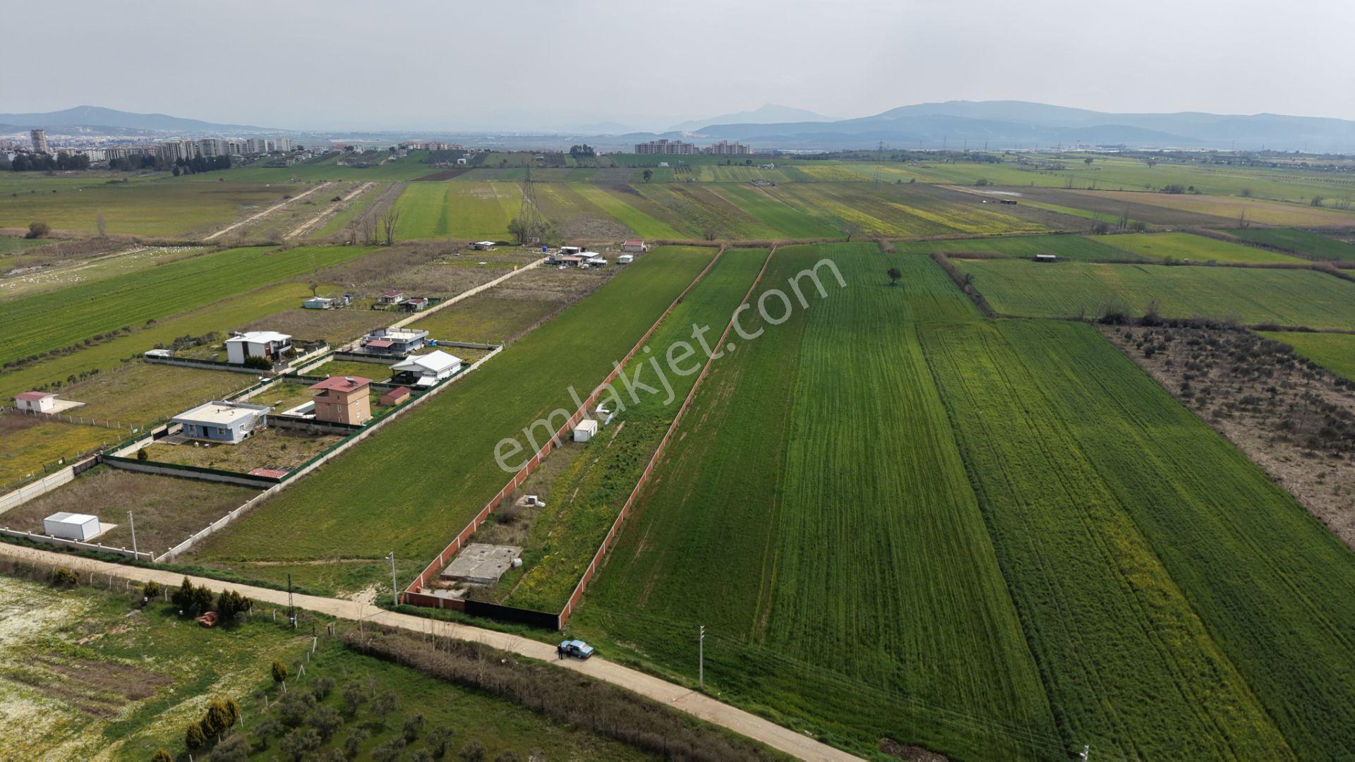 İzmir Oğlananası Satılık Tektapu 11.385 M2 Yol Cepheli Kelepir Fiyata Arazi - Görsel 2