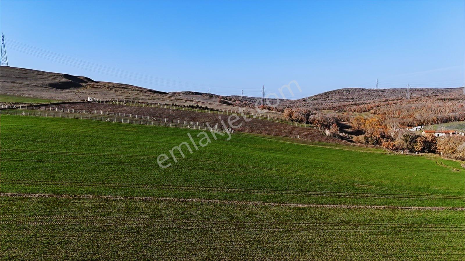 Satılık 5020 M2 Müstakil Tapu Kadastro Yolu Olan Tarla - Görsel 5