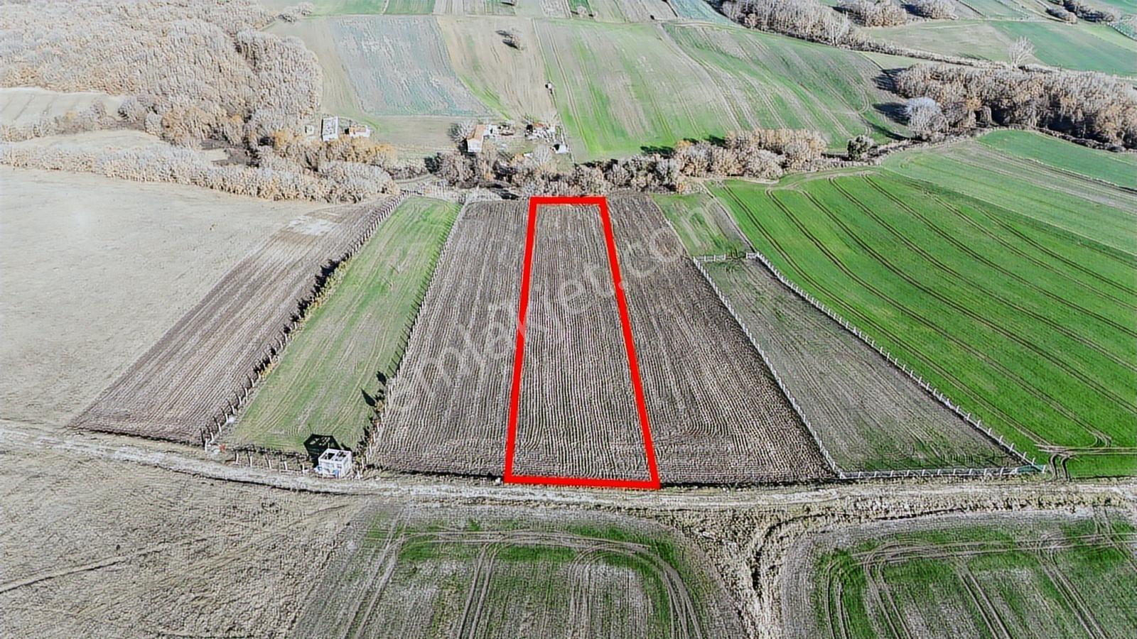 Satılık 5020 M2 Müstakil Tapu Kadastro Yolu Olan Tarla - Görsel 8