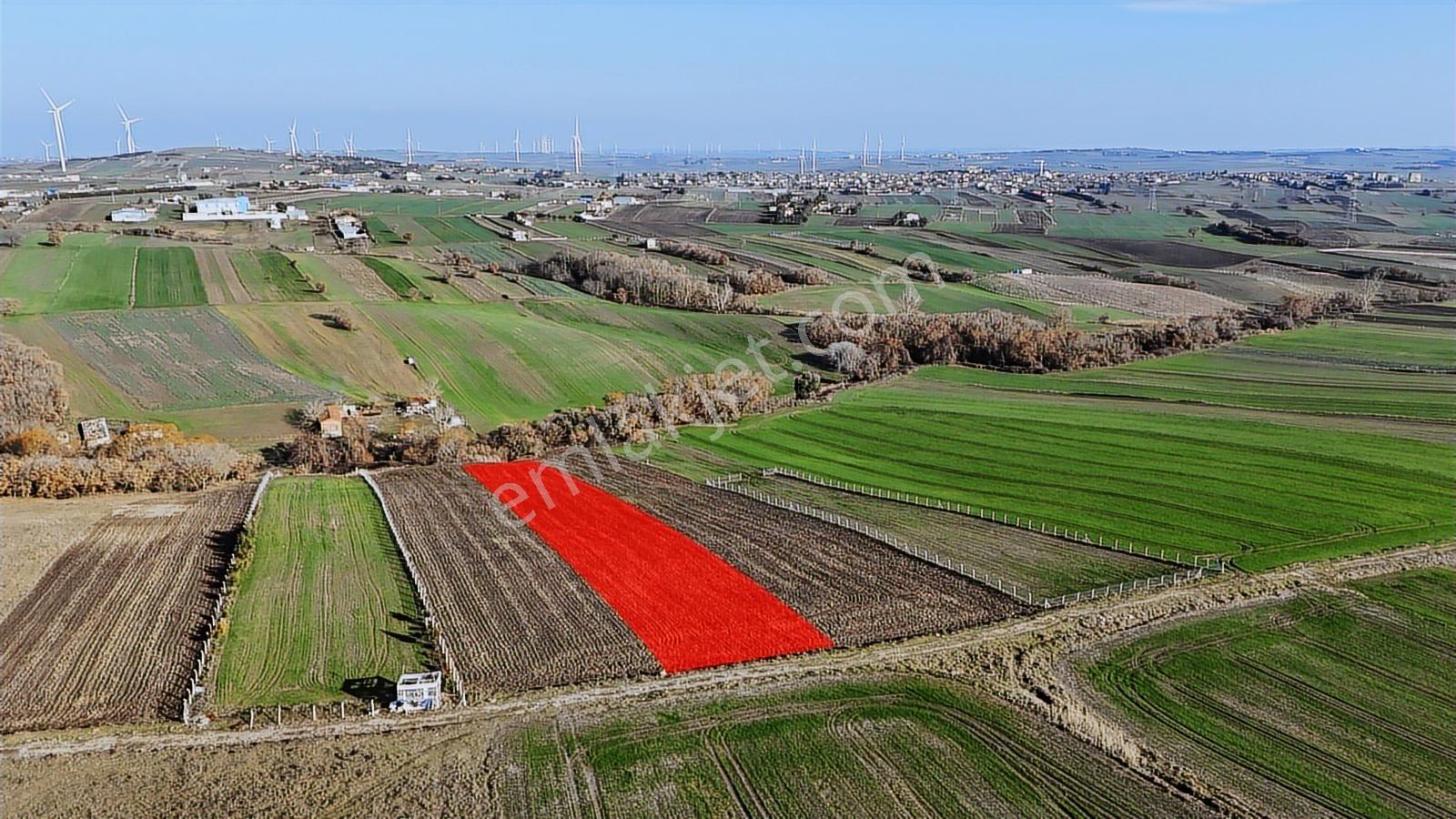 Satılık 5020 M2 Müstakil Tapu Kadastro Yolu Olan Tarla - Görsel 3