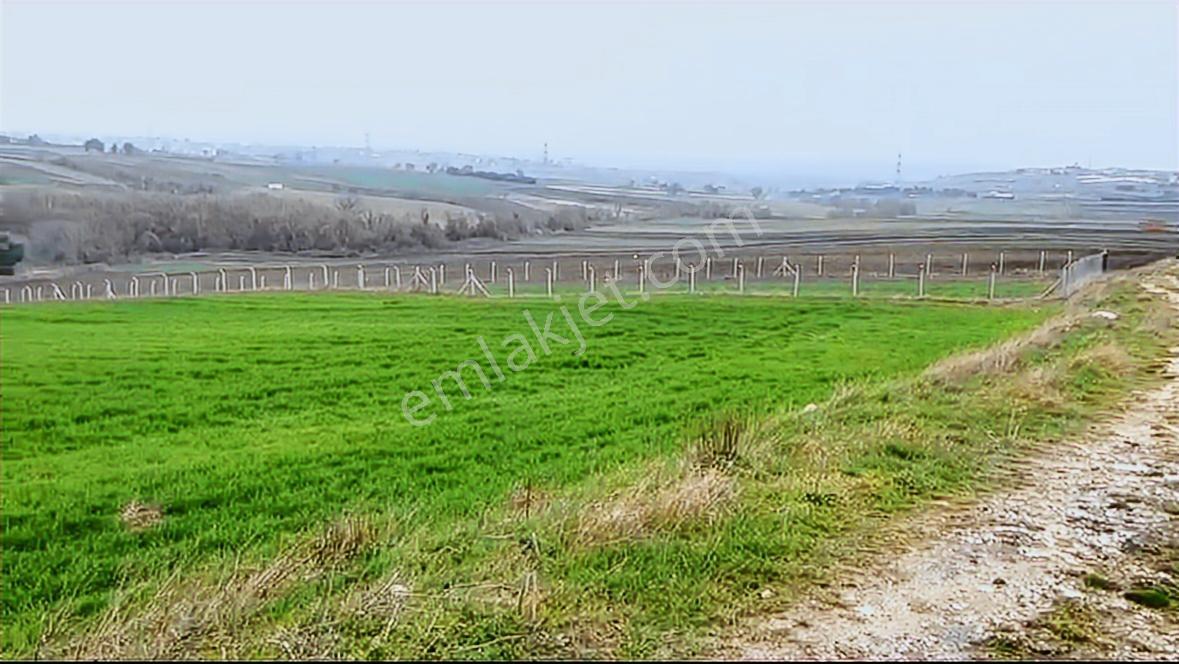 Satılık 5020 M2 Müstakil Tapu Kadastro Yolu Olan Tarla - Görsel 21