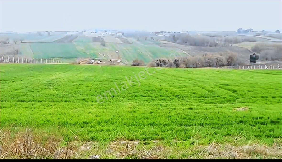 Satılık 5020 M2 Müstakil Tapu Kadastro Yolu Olan Tarla - Görsel 17