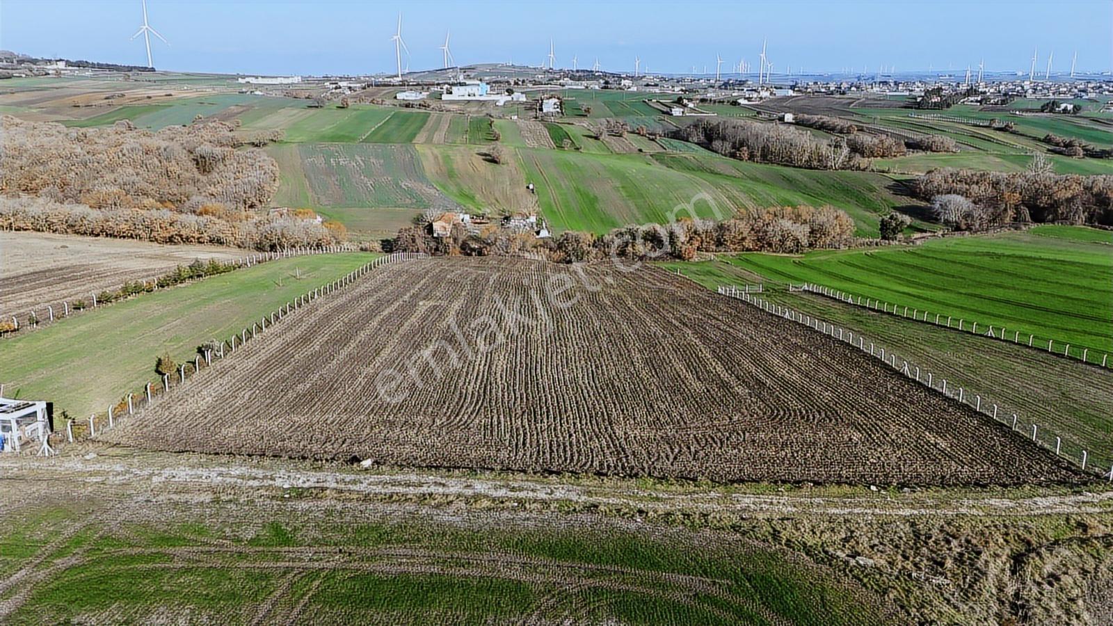 Satılık 5020 M2 Müstakil Tapu Kadastro Yolu Olan Tarla - Görsel 4