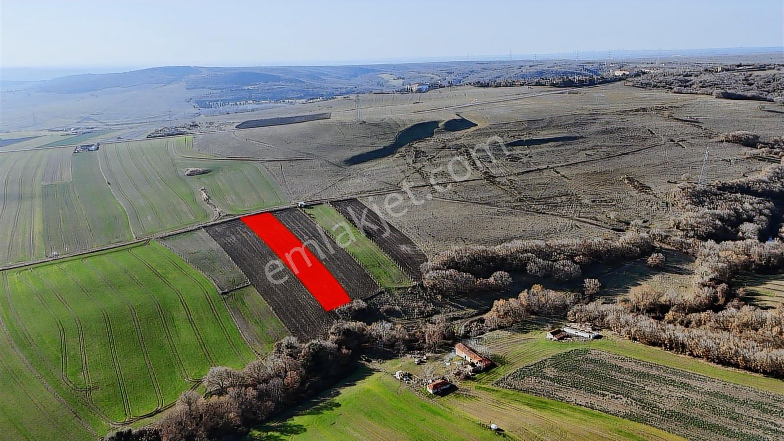 Satılık 5020 M2 Müstakil Tapu Kadastro Yolu Olan Tarla - Görsel 11