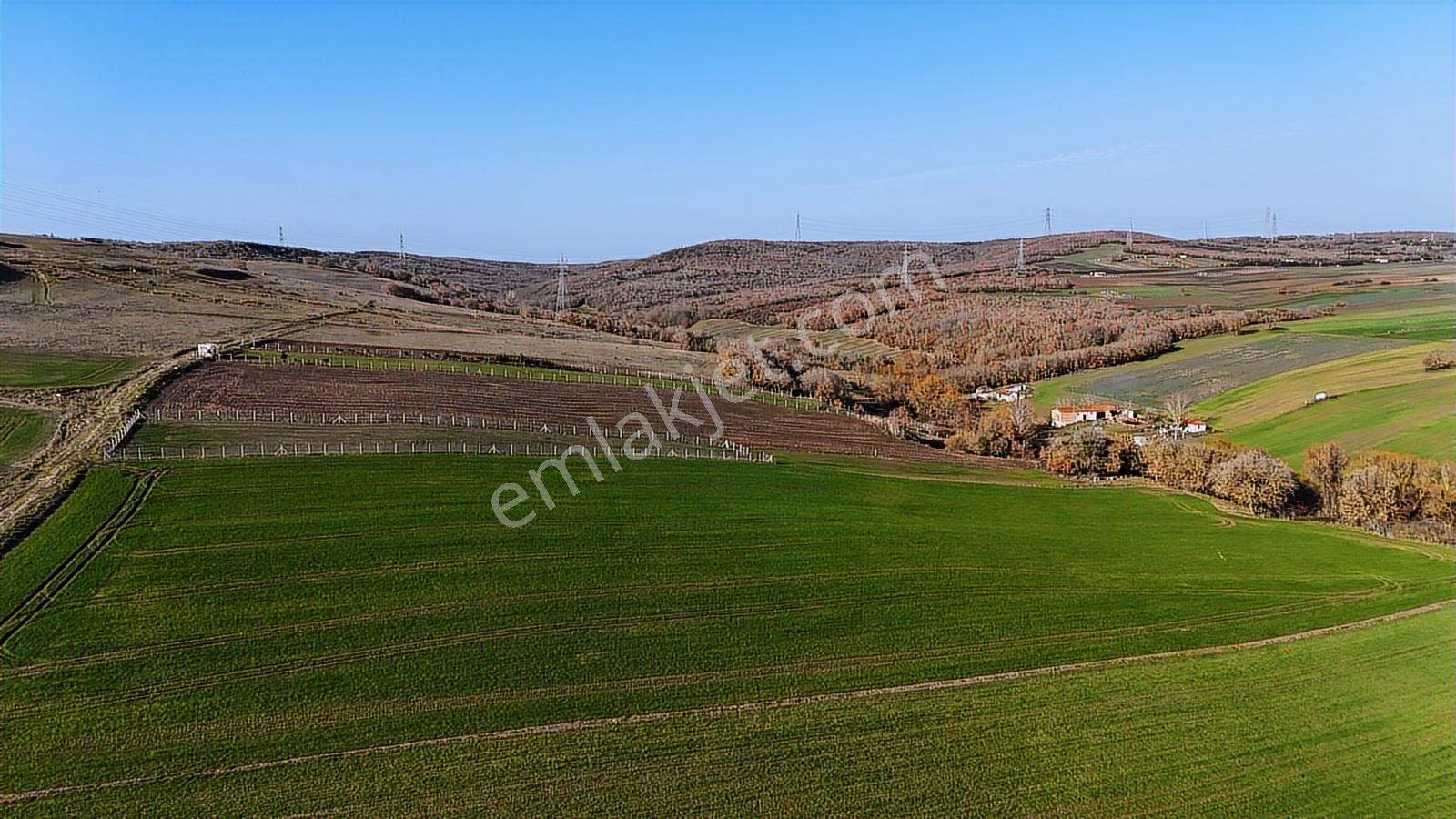 Satılık 5020 M2 Müstakil Tapu Kadastro Yolu Olan Tarla - Görsel 20
