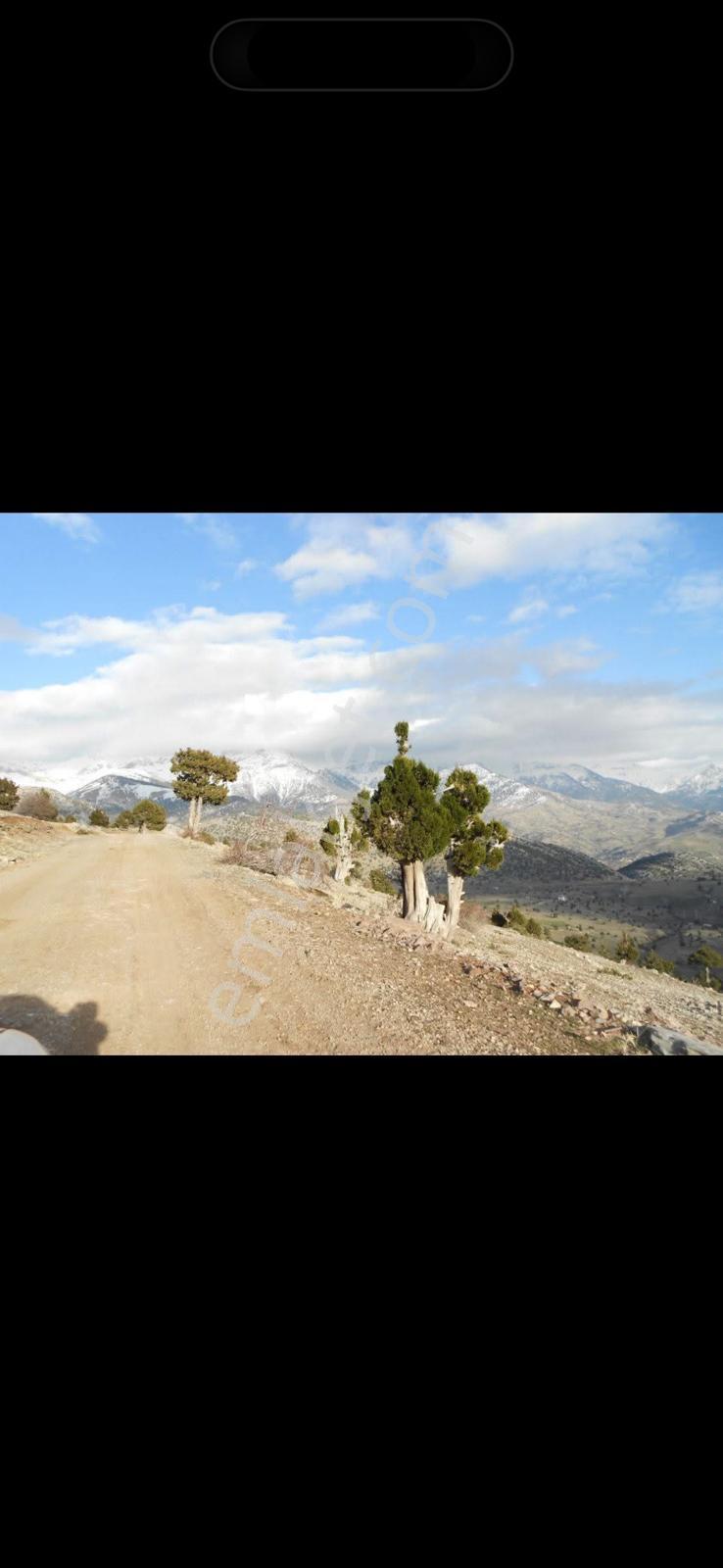 Gündoğmuş / Akyarda 6500 M2 Acil Yatırımlık - Görsel 6