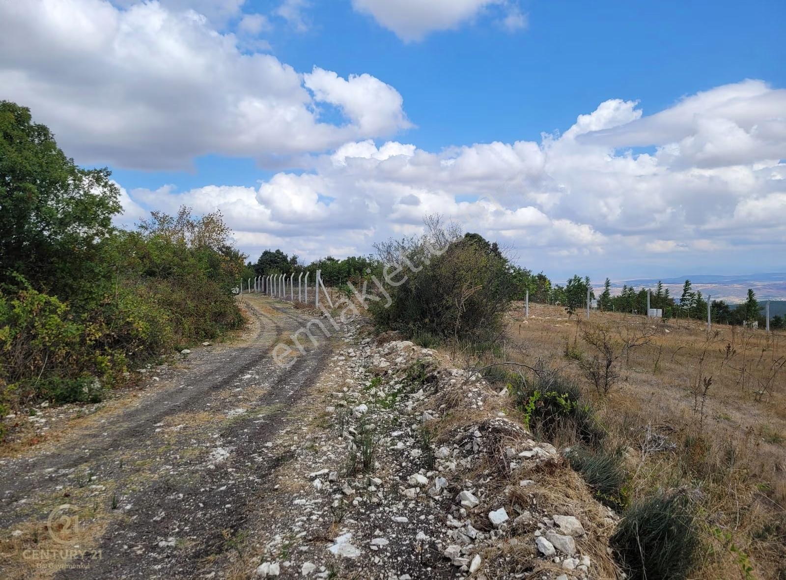 Century21 Bal'dan Altıeylül Bozen Mah.de Satılık 18400 M2 Tarla - Görsel 5