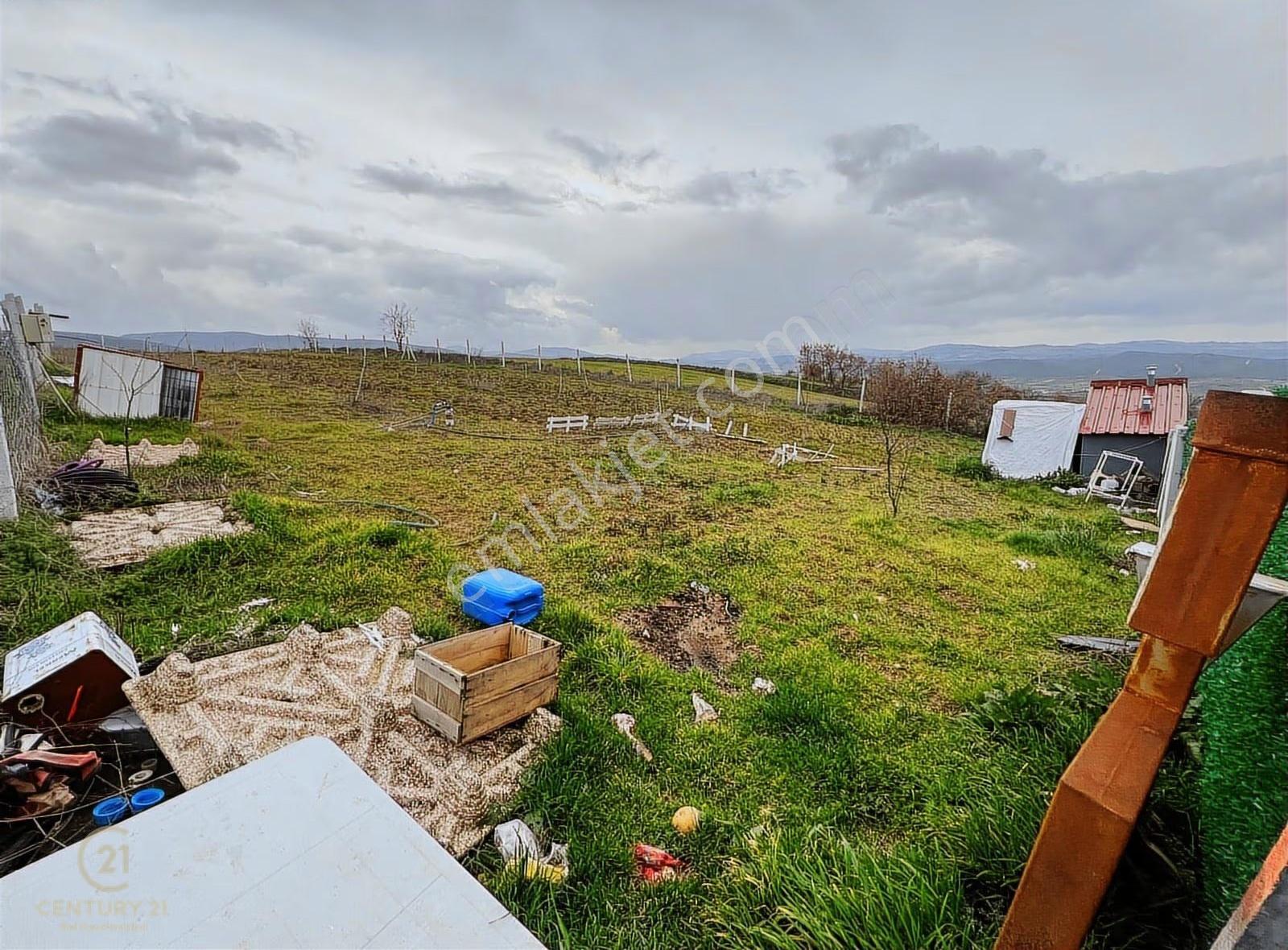Akçaköy'de Manzaralı Hazır Yaşam Alanı Olan Satılık Hobi Bahçesi - Görsel 17