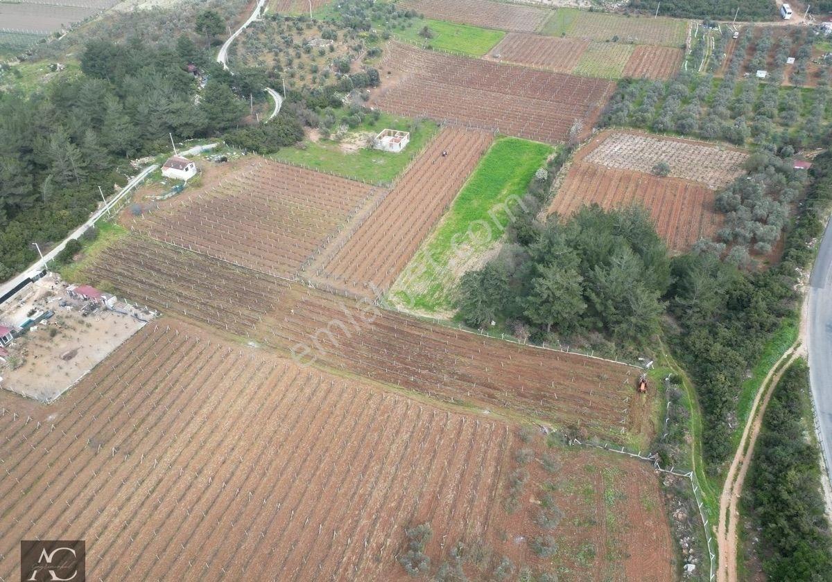Aclass'dan Kuşadası Kirazlı Köyünde Yatırımlık 1000'er M2 Tek Tapu Fırsat Bahçe - Görsel 6
