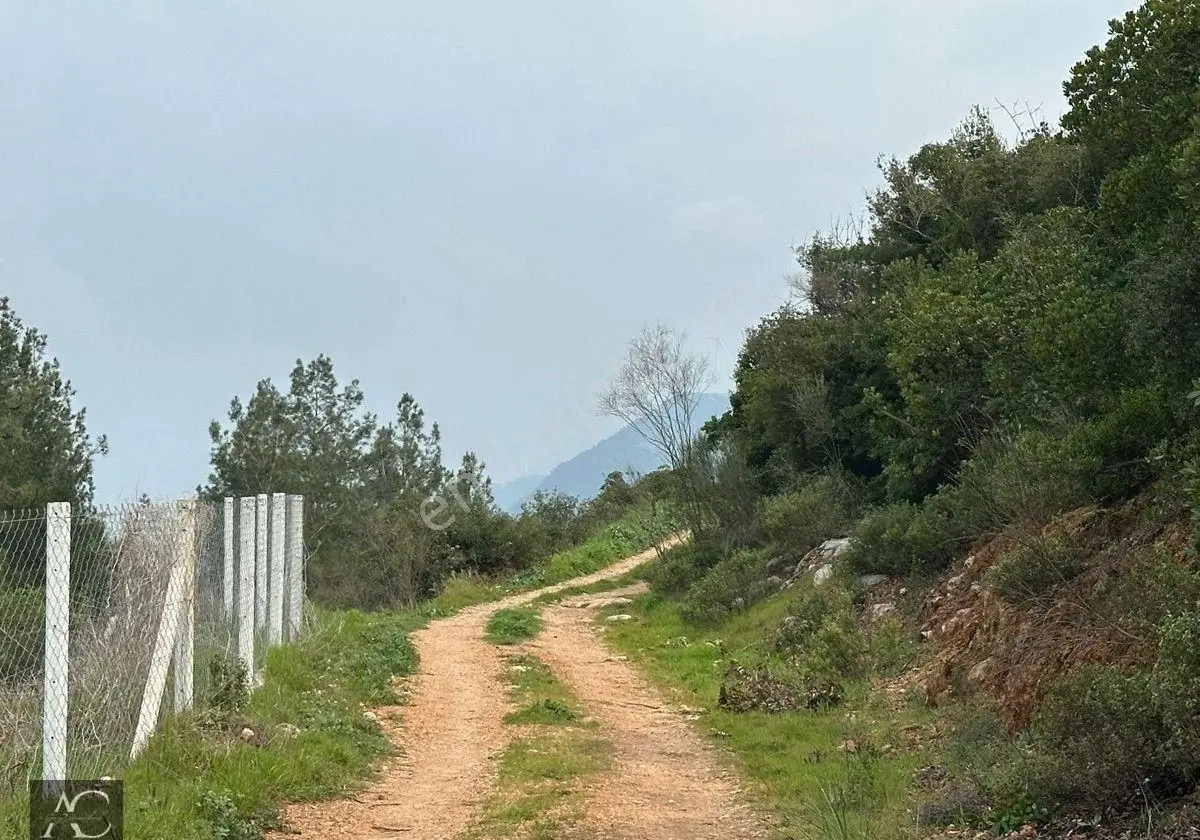 Aclass'dan Kuşadası Kirazlı Köyünde Yatırımlık 1000'er M2 Tek Tapu Fırsat Bahçe - Görsel 2