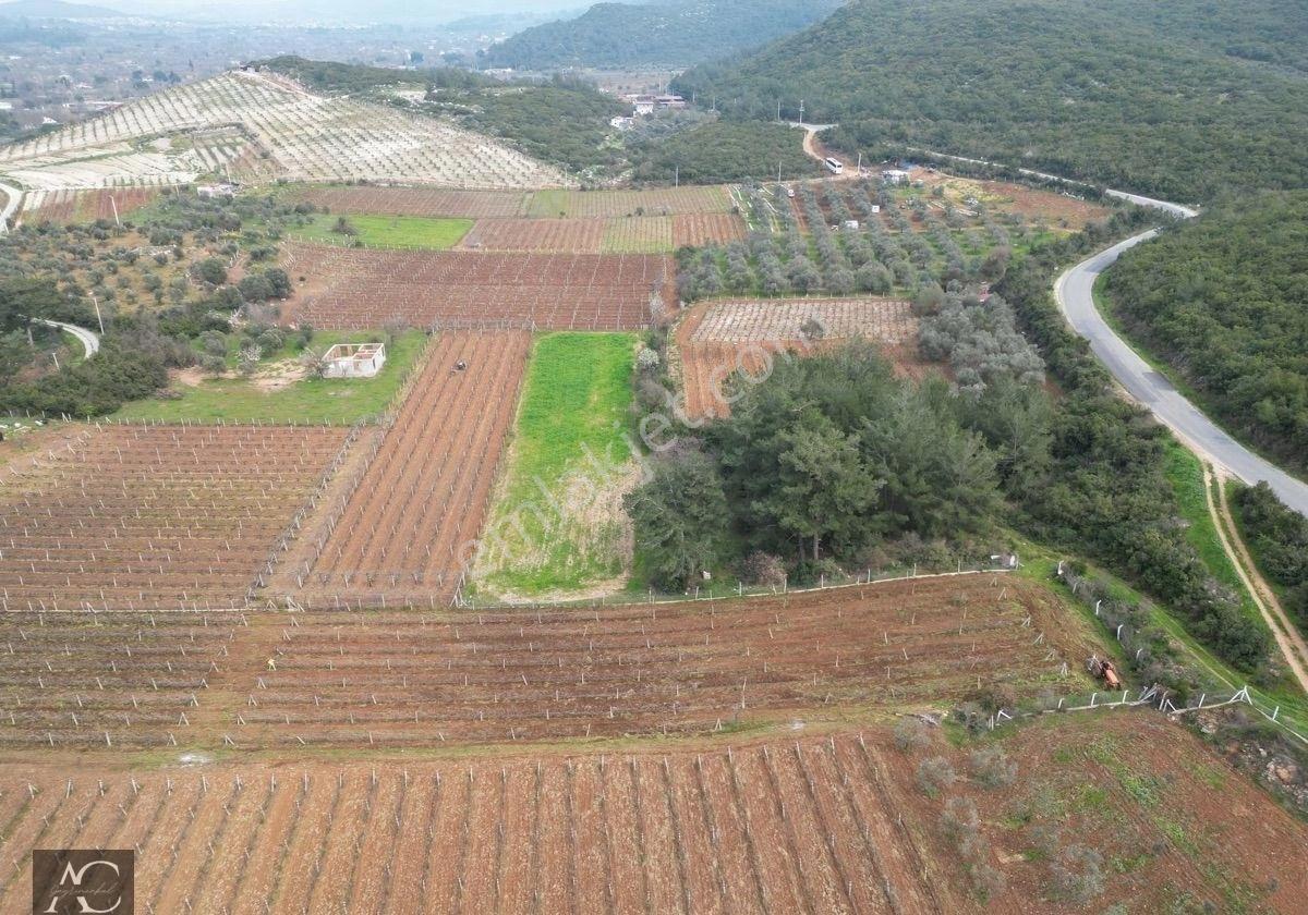 Aclass'dan Kuşadası Kirazlı Köyünde Yatırımlık 1000'er M2 Tek Tapu Fırsat Bahçe - Görsel 17