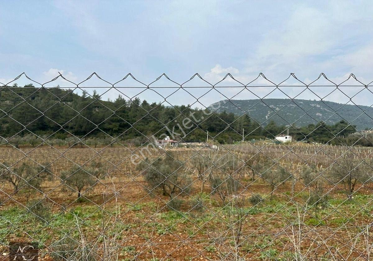 Aclass'dan Kuşadası Kirazlı Köyünde Yatırımlık 1000'er M2 Tek Tapu Fırsat Bahçe - Görsel 20