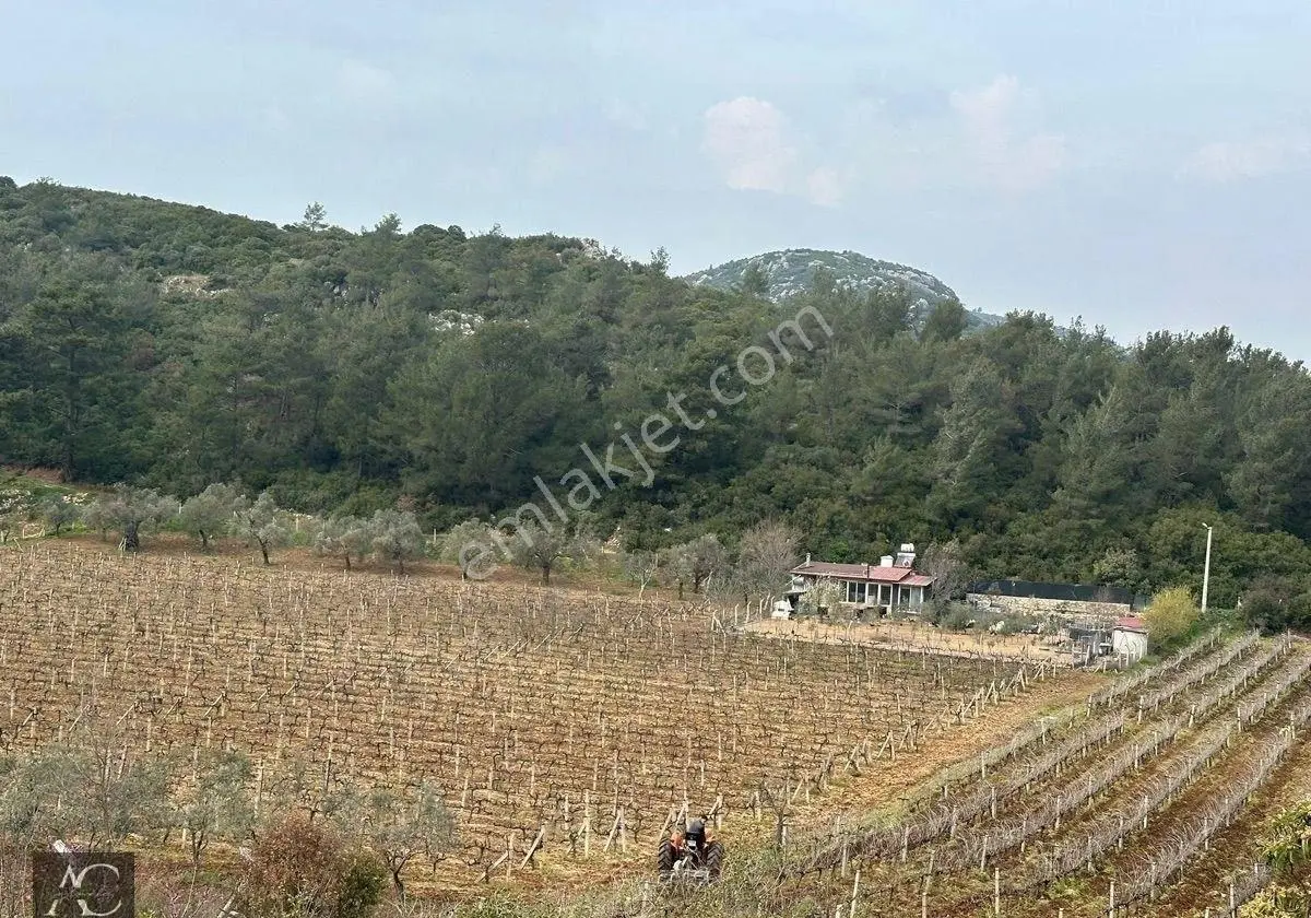 Aclass'dan Kuşadası Kirazlı Köyünde Yatırımlık 1000'er M2 Tek Tapu Fırsat Bahçe