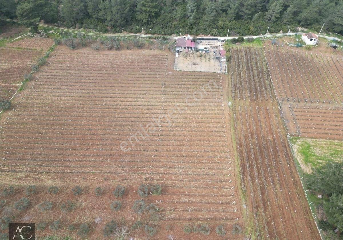 Aclass'dan Kuşadası Kirazlı Köyünde Yatırımlık 1000'er M2 Tek Tapu Fırsat Bahçe - Görsel 21