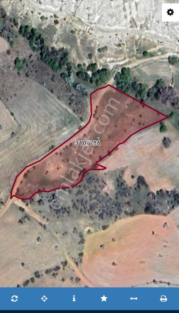 Konya Selçuklu Tepekent’te 6.500 M² Yatırımlık Tarla – Tek Parça Satılık Pazarlık Payı Vardır