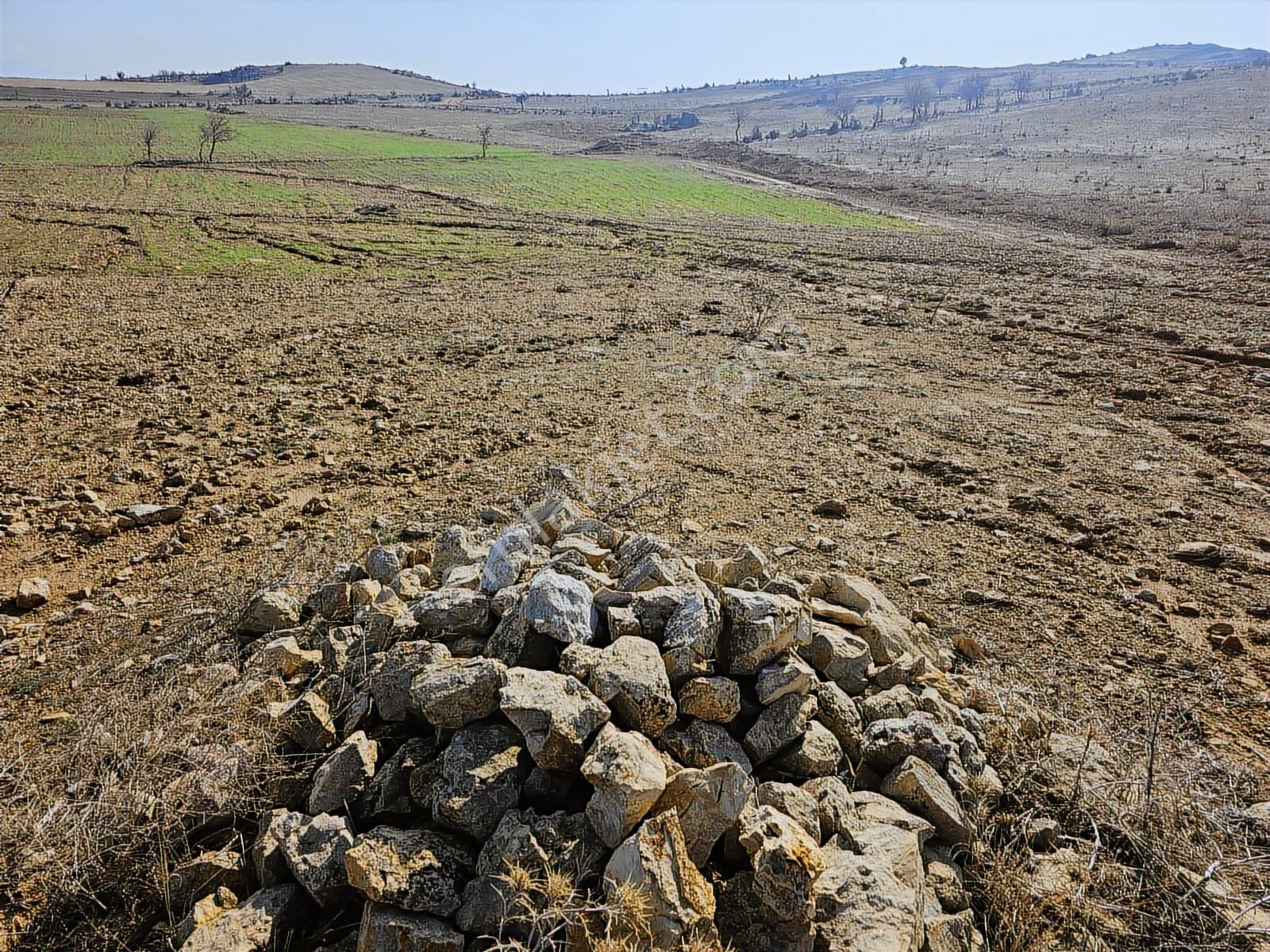 Hakev'den Fakülte Bölgesin'de 1900 Metre Blok Arsası Satılıktır - Görsel 22