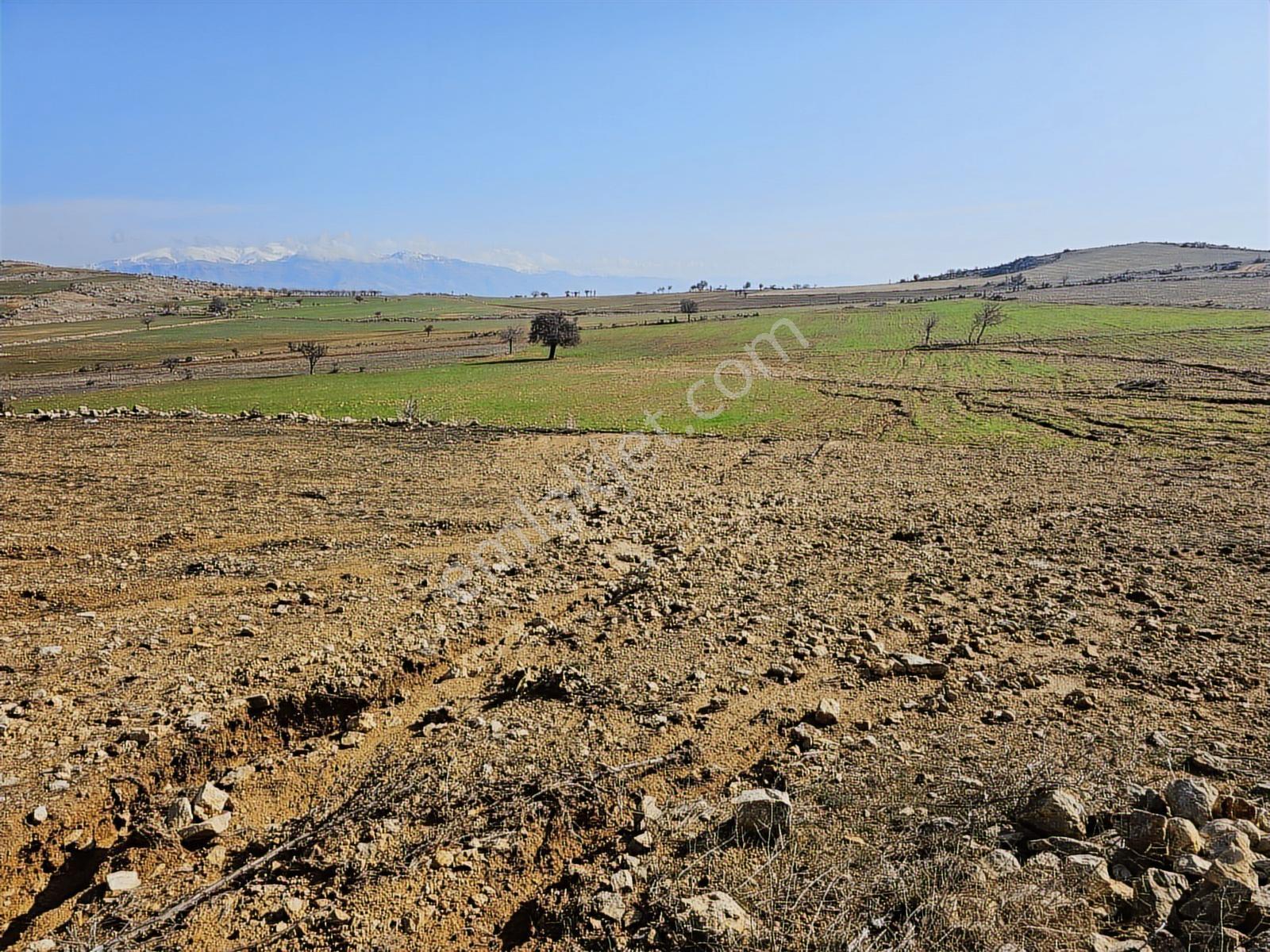 Hakev'den Fakülte Bölgesin'de 1900 Metre Blok Arsası Satılıktır - Görsel 11