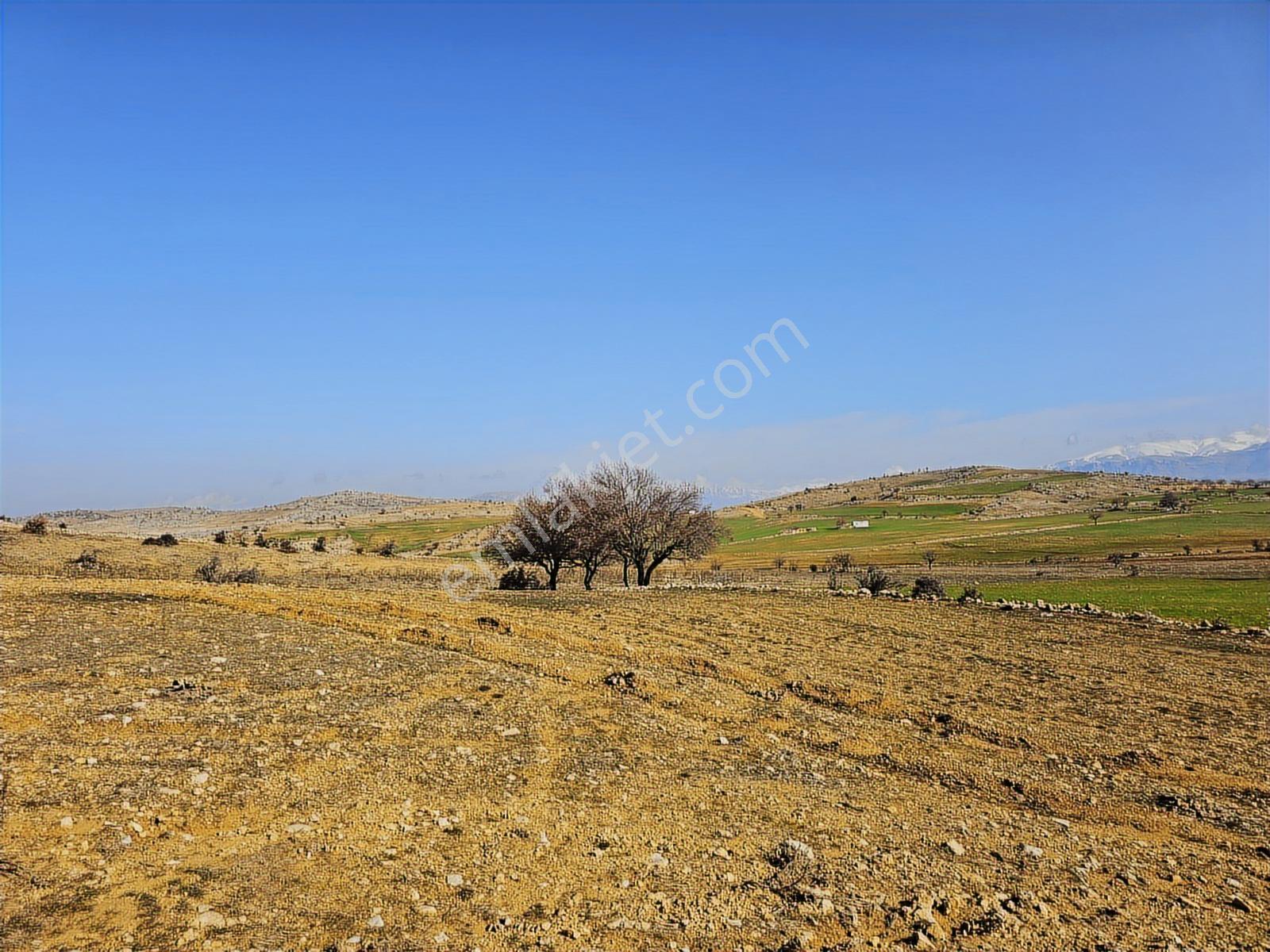 Hakev'den Fakülte Bölgesin'de 1900 Metre Blok Arsası Satılıktır - Görsel 7