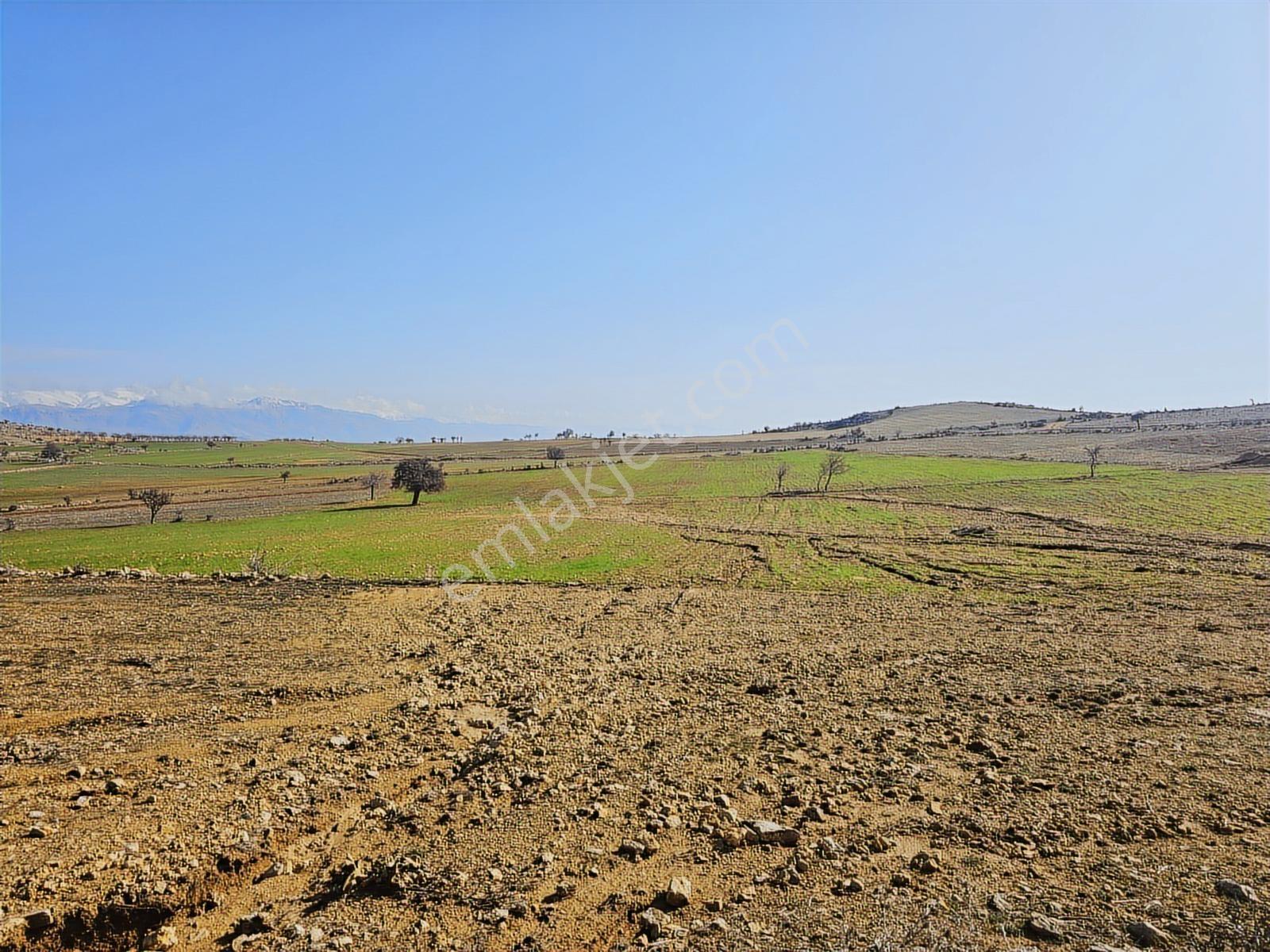 Hakev'den Fakülte Bölgesin'de 1900 Metre Blok Arsası Satılıktır - Görsel 8