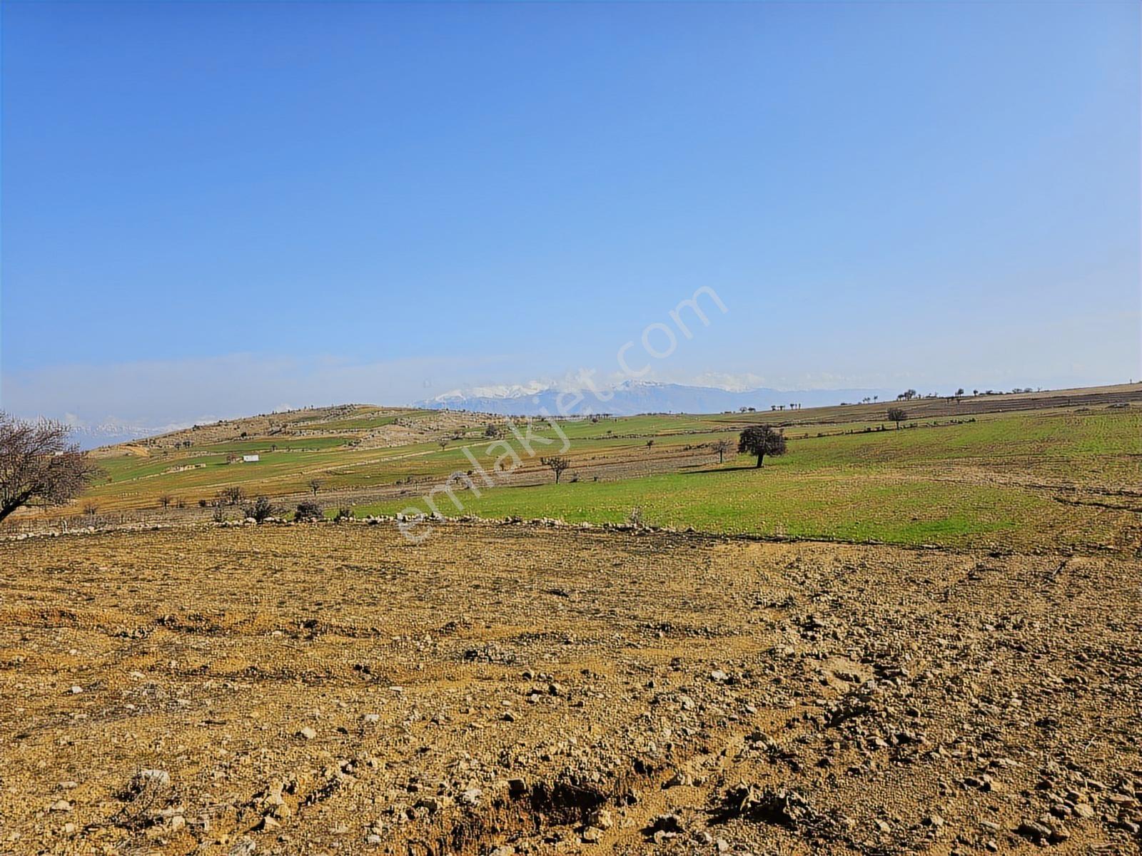 Hakev'den Fakülte Bölgesin'de 1900 Metre Blok Arsası Satılıktır - Görsel 6