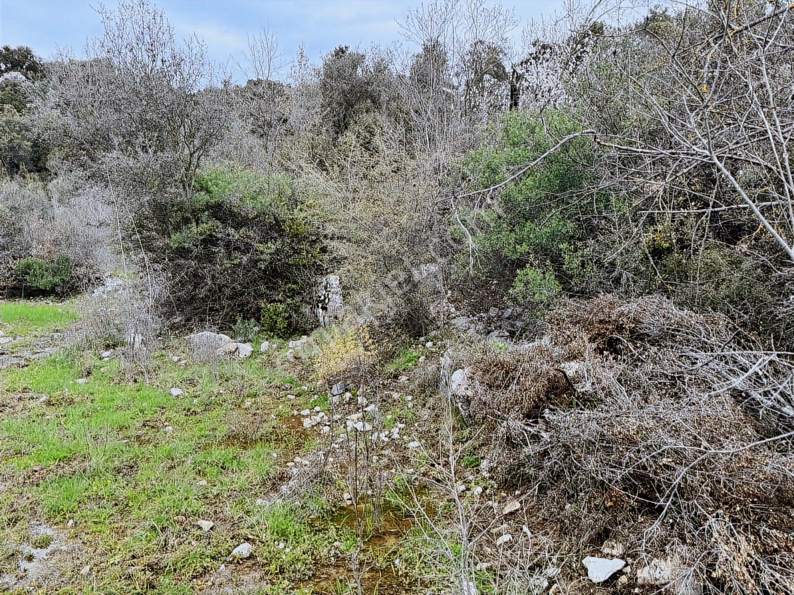 Karacaören Köyiçi'nde, Müstakil Tapulu Arazi - Görsel 4