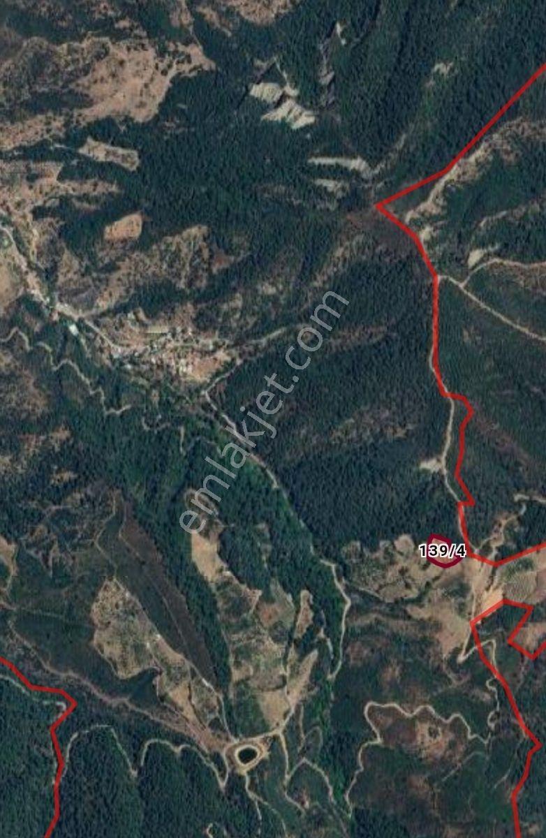 Kemalpaşa Zeamet'te Satılık Kirazlık - Görsel 2