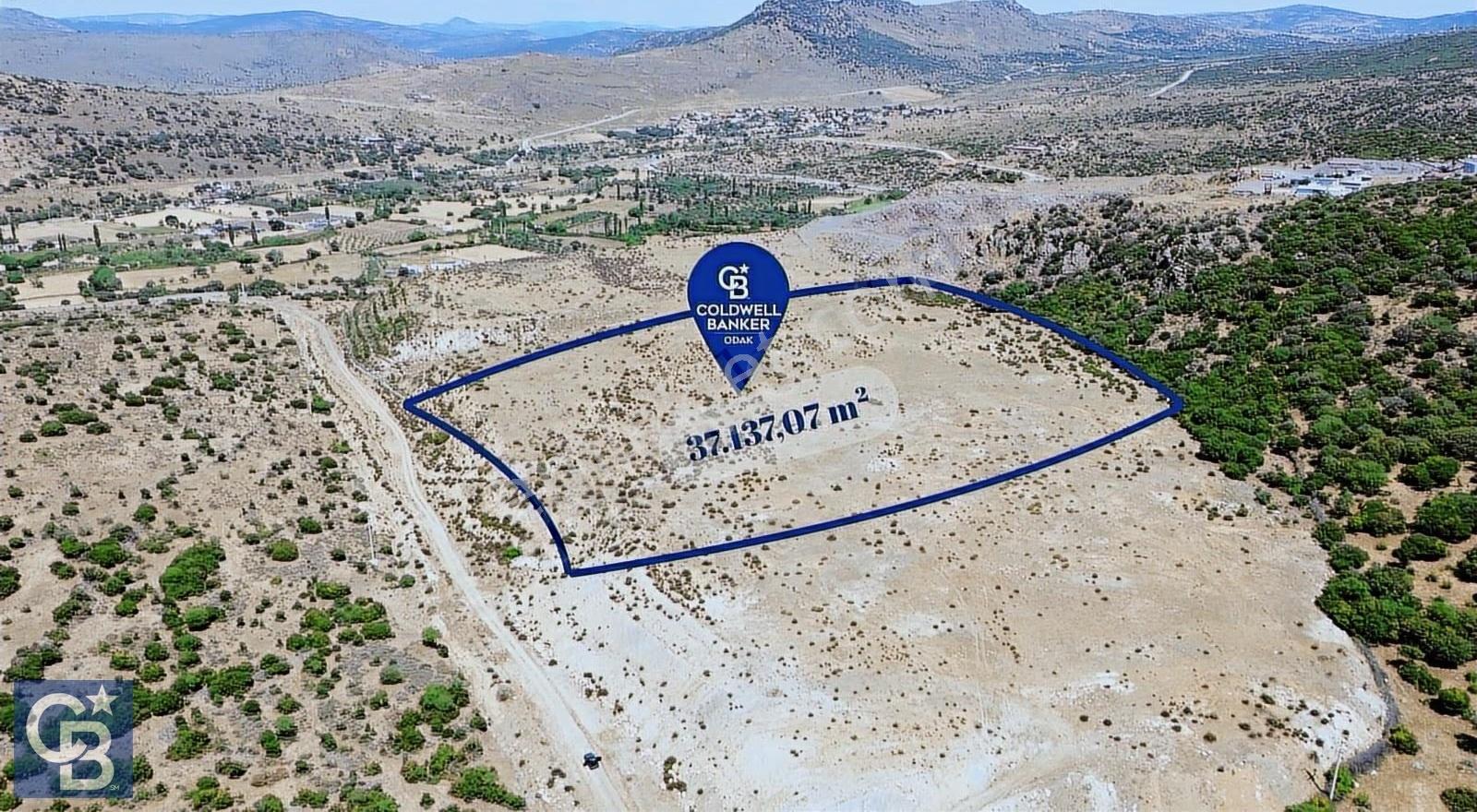 Coldwell Banker'dan Çıtakta Satılık 37 Dönüm Tarla!