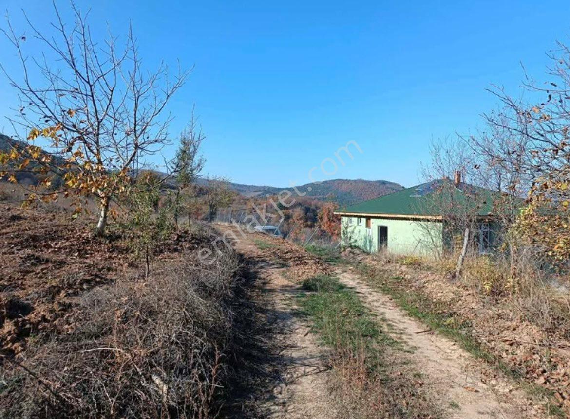 Geyvede Satılık Araç Takaslı - Görsel 2