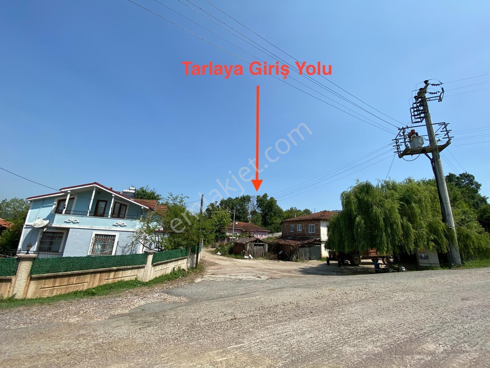 Körfez Himmetli -2524m² Tarla -yola 72m Cephe- Elektrik & Su Var - Görsel 10