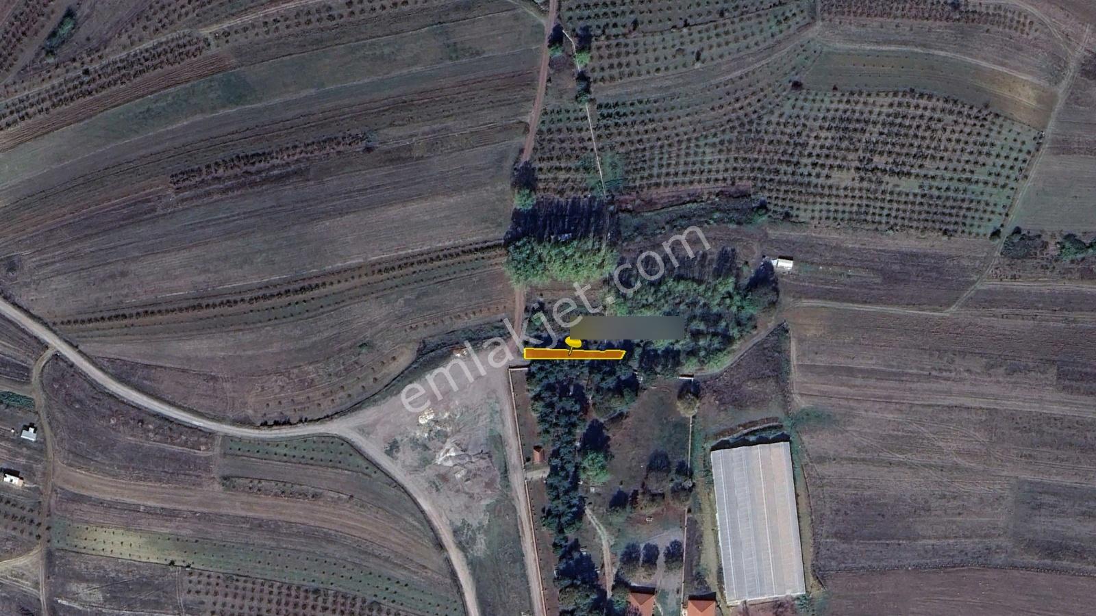 Kocaeli Kandıra Ağaçağıl'da Satılık 221m2 Yollu Köşe Parsel Arsa - Görsel 33