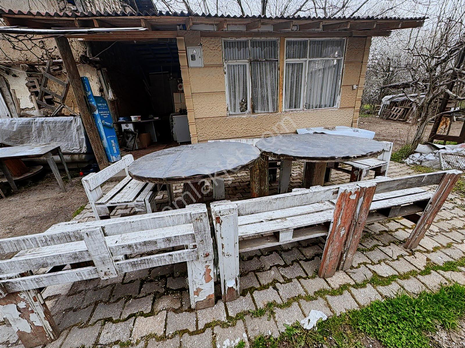 Gezirlikte Tam Verimli Çağında 5 Dönüm Kiralık Arazi - Görsel 4