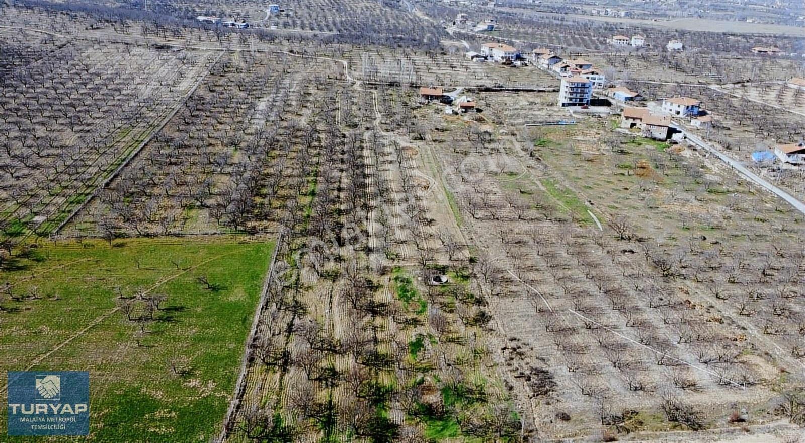 Turyap'tan Hava Alanı Yolu Üzerinde 9000 M² Satılık Bahçe - Görsel 6