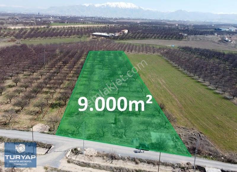 Turyap'tan Hava Alanı Yolu Üzerinde 9000 M² Satılık Bahçe - Görsel 4