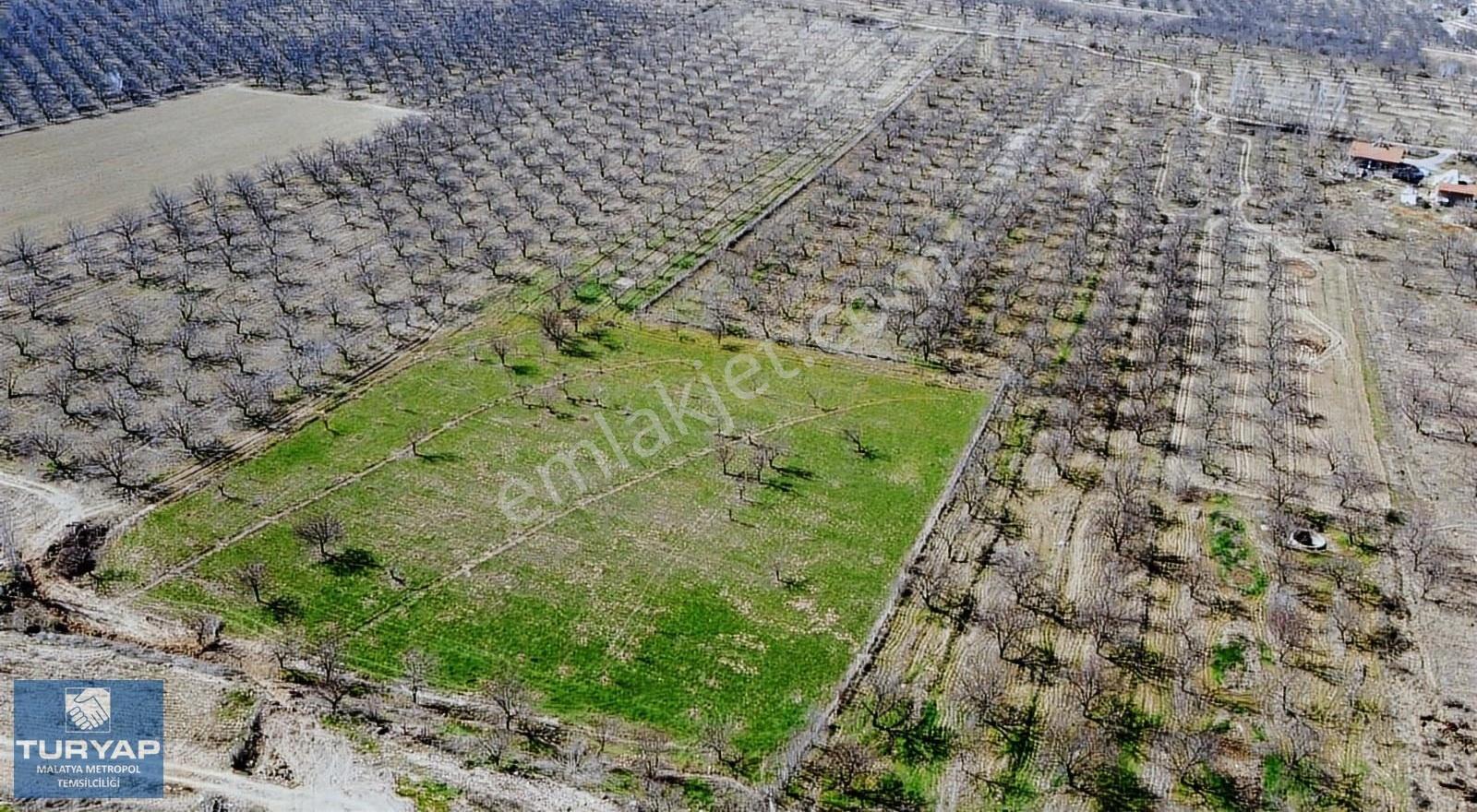 Turyap'tan Hava Alanı Yolu Üzerinde 9000 M² Satılık Bahçe - Görsel 10